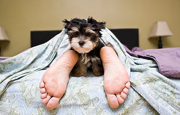 7 привычек сна успешных предпринимателей