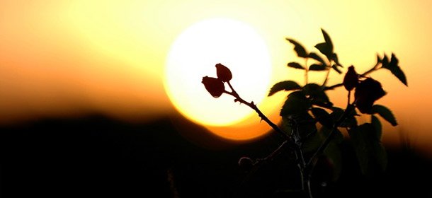 Подумываешь о том, чтобы опустить руки и сдаться? 