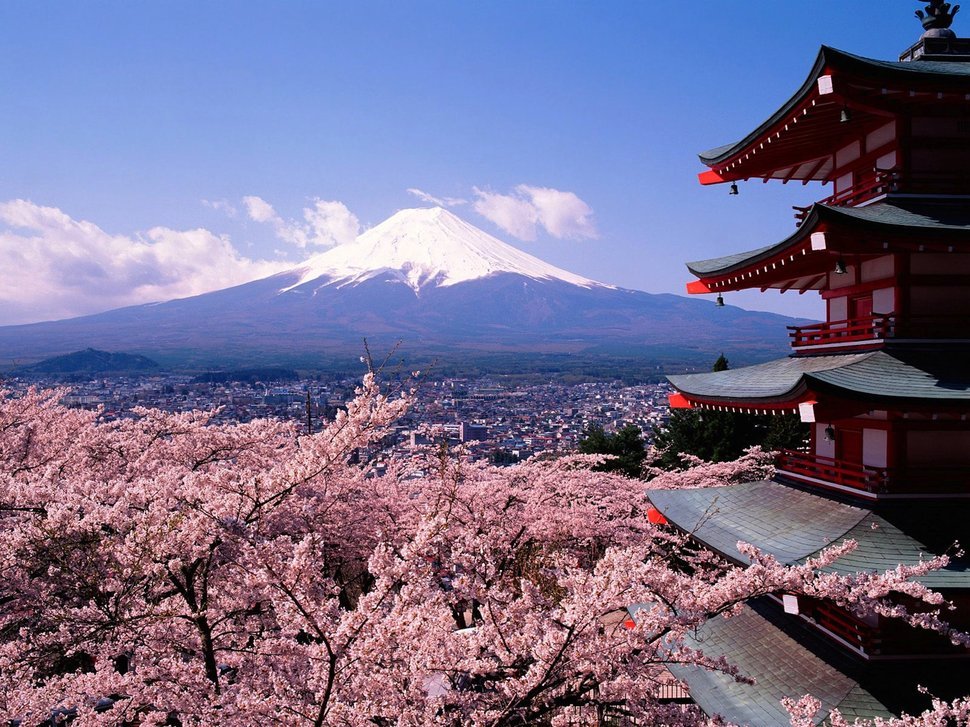 За что могут арестовать в Японии?